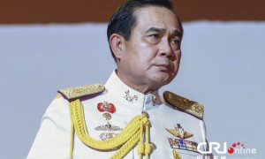 duly相关阅读