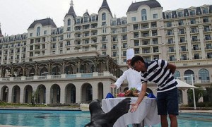 任性！中国土豪包五星级酒店为海狮庆生（图）