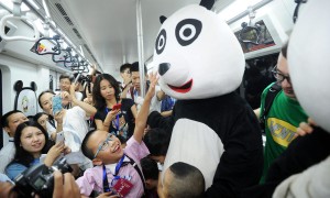 stuffed相关阅读