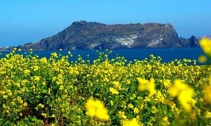 韩国万人呼吁取消济州岛对中国的免签政策