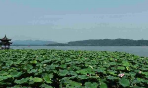 described相关阅读