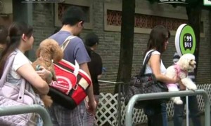 方便相关阅读