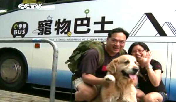 香港宠物巴士为宠物主人们带来方便 香港宠物巴士为宠物主人们带来方便