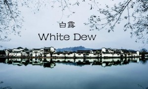 terms相关阅读