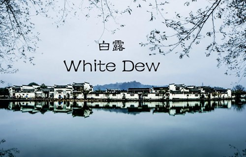 文化管窥:关于白露你可能不知道的10件事 文化管窥:关于白露你可能不知道的10件事