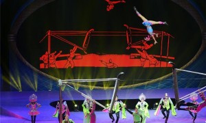 circus相关阅读
