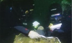 items相关阅读