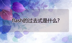 flash相关阅读