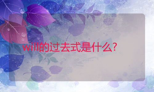 will的过去式是什么?will的用法和例句 will的过去式是什么?will的用法和例句