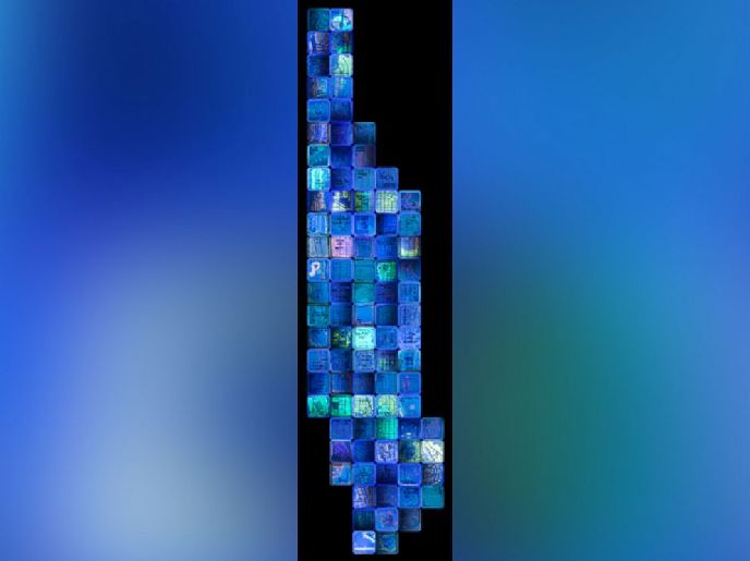 科学家的另类艺术:细菌作画 科学家的另类艺术:细菌作画
