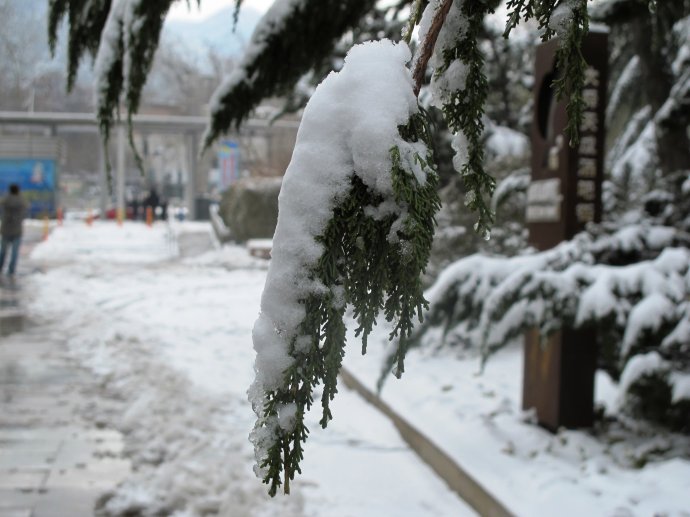 中国中东部地区迎来首场雪 中国中东部地区迎来首场雪