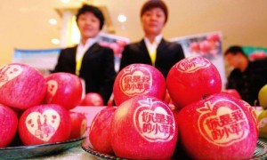 打造相关阅读