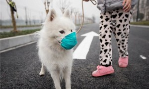 this week相关阅读