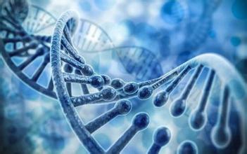 重磅!中国科学家在人类DNA中发现“暗物质” 重磅!中国科学家在人类DNA中发现“暗物质”