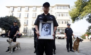 庄严相关阅读