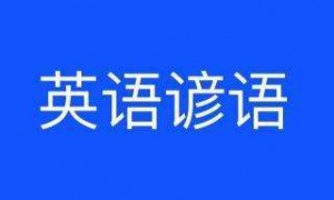 the body相关阅读