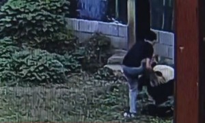 南昌男子跳入熊猫馆和大熊猫扭打 分分钟被按倒