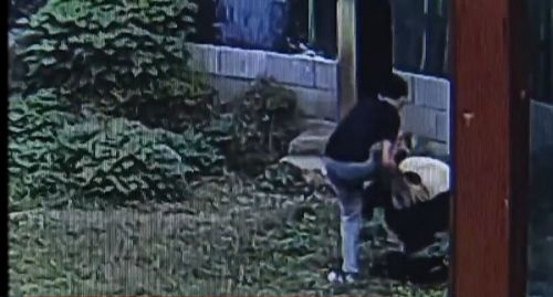 南昌男子跳入熊猫馆和大熊猫扭打 分分钟被按倒 南昌男子跳入熊猫馆和大熊猫扭打 分分钟被按倒