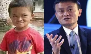 创立相关阅读