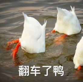 答应我!别再用这些糟糕的英语表达了! 答应我!别再用这些糟糕的英语表达了!
