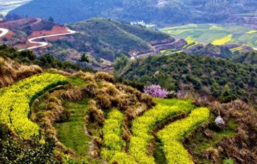 纪录片《改变世界的中国植物》北京植物园开拍,将在2019世园会亮 纪录片《改变世界的中国植物》北京植物园开拍,将在2019世园会亮