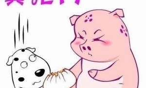 you are相关阅读