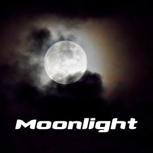moonlight原来还有“兼职”的意思!千万别以为是“月光”! moonlight原来还有“兼职”的意思!千万别以为是“月光”!