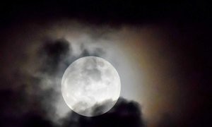 moonlight相关阅读