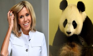 cubs相关阅读