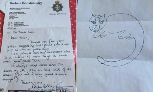 喜欢黑猫警长的看过来，英国第一只警猫要诞生啦！