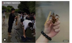 多地暴雨启动应急 暴雨已造成6人死亡3人失踪