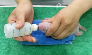 arch center相关阅读