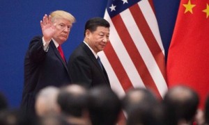 allow for相关阅读