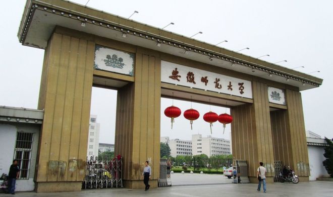 对食堂阿姨说“你好”,饭菜可打五折 对食堂阿姨说“你好”,饭菜可打五折