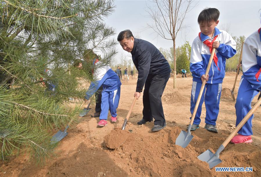 CCTV9英语新闻:习近平呼吁加强林业发展 CCTV9英语新闻:习近平呼吁加强林业发展