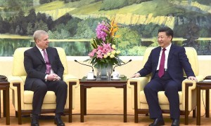习近平主席会见英国安德鲁王子