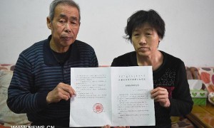 in all相关阅读