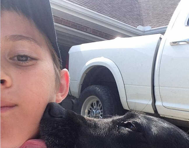 暖心小男孩!人犬相拥,温情满满 暖心小男孩!人犬相拥,温情满满