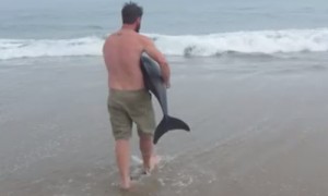 a beach相关阅读