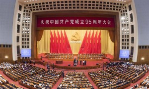 视频：庆祝中国共产党成立95周年大会在京举行