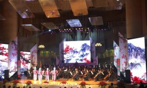 concert相关阅读