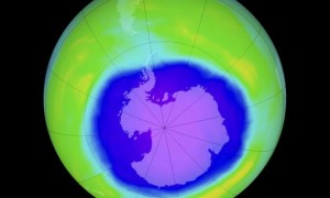 ozone layer相关阅读