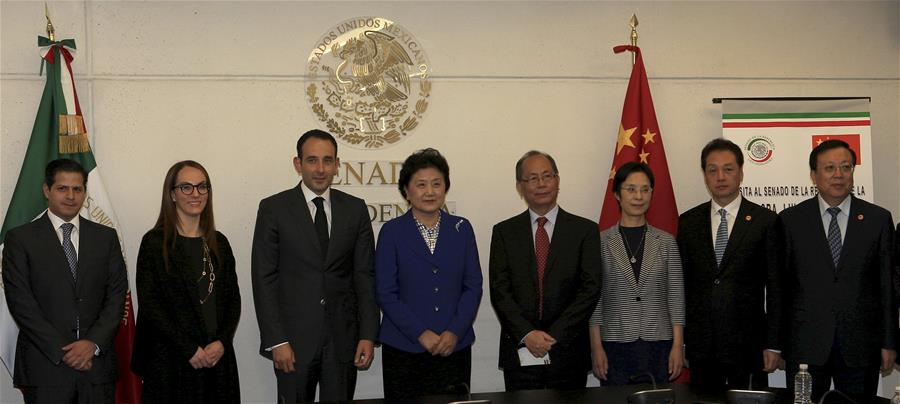 China, Mexico vow to boost economic, cultural cooperation China, Mexico vow to boost economic, cultural cooperation