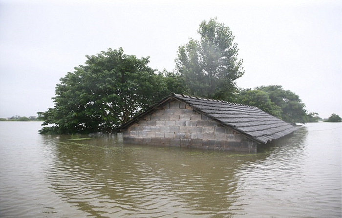 直击南方大雨:洪灾主人泪别6000头猪 直击南方大雨:洪灾主人泪别6000头猪
