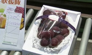 日本水果拍卖，一串葡萄价值1.1万美元
