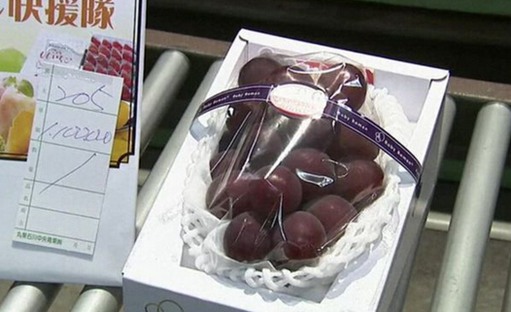 日本水果拍卖,一串葡萄价值1.1万美元 日本水果拍卖,一串葡萄价值1.1万美元