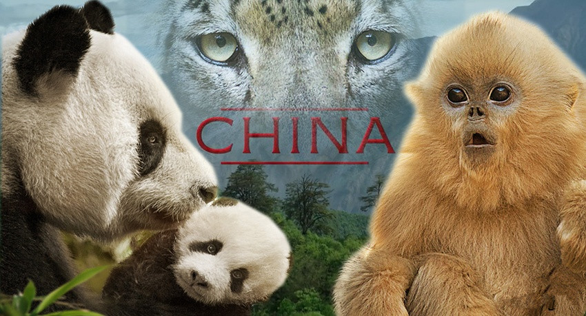 Director Lu Chuan on his latest movie Director Lu Chuan on his latest movie