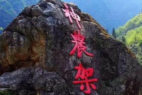 神农架列入世界遗产名录 中国世遗项目达到50个 神农架列入世界遗产名录 中国世遗项目达到50个