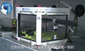 次相关阅读