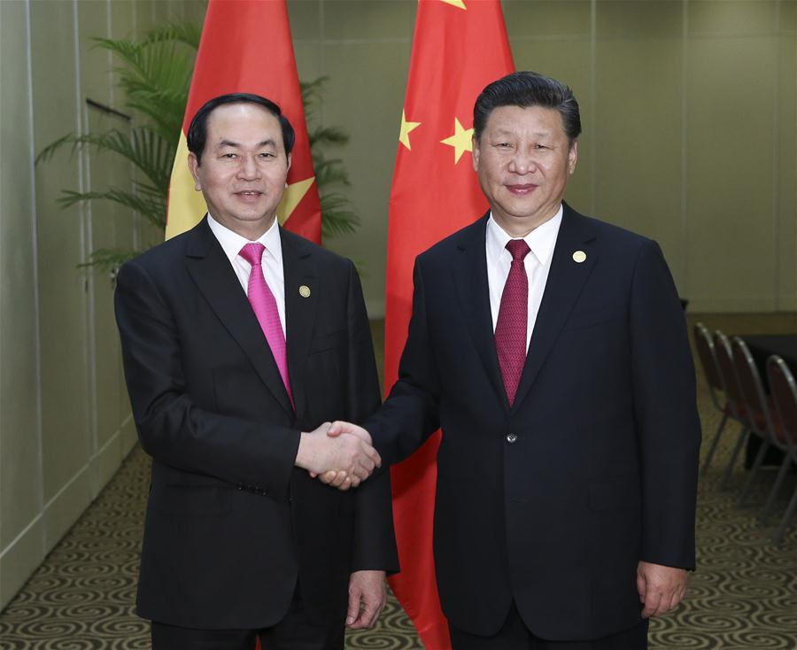 习近平会见越南主席陈大光 中越关系加固 习近平会见越南主席陈大光 中越关系加固
